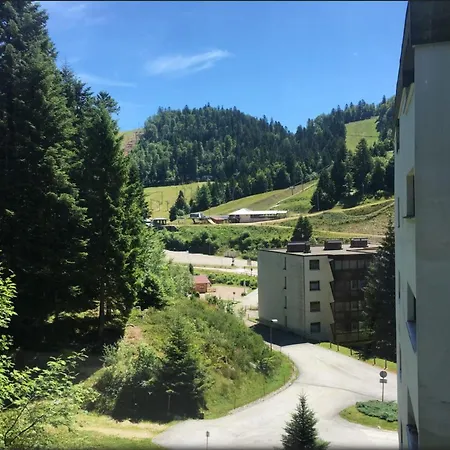 Le Chitelet, Vue Montagne Appt 215 La Bresse